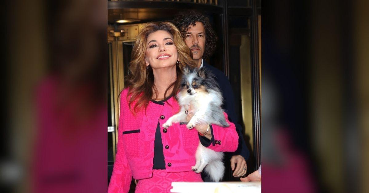 Photo of Shania Twain and Frédéric Thiébaud married in 2011.