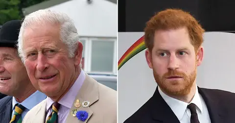 prince charles princeharry pp
