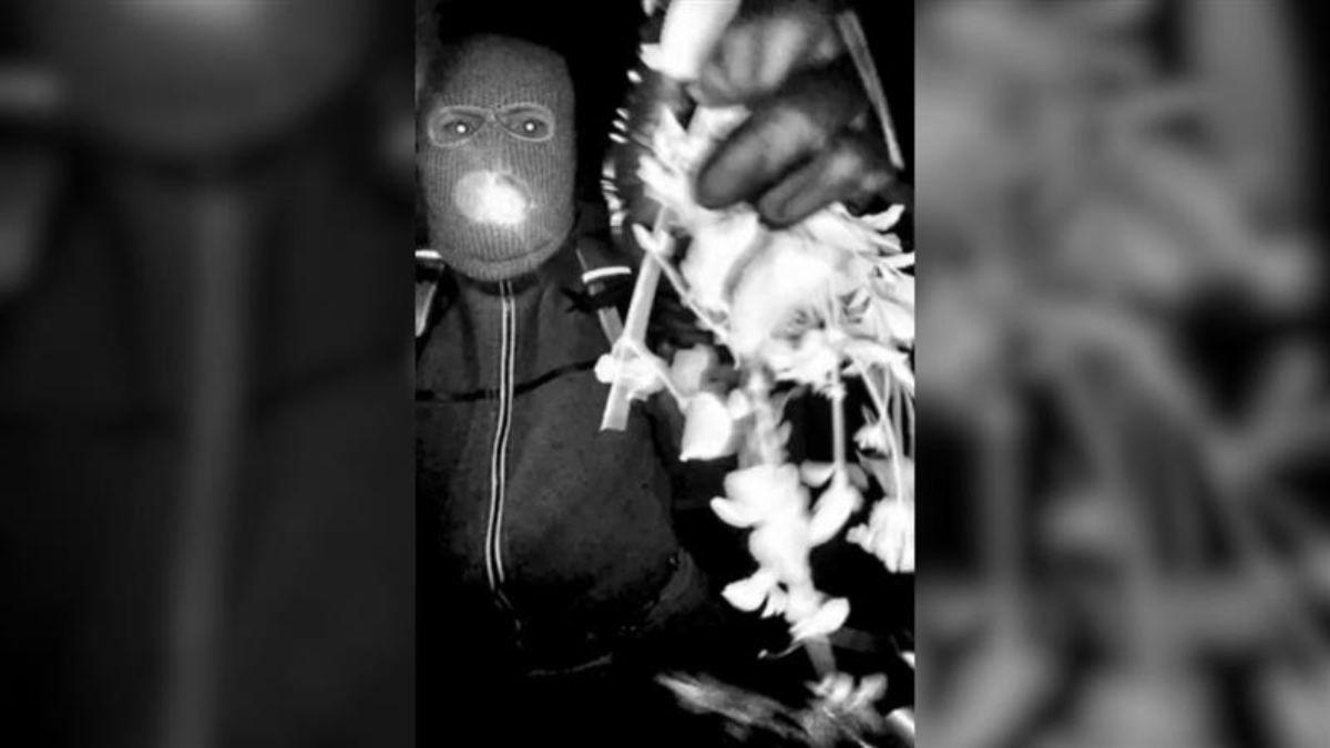 image of The man claimed he's innocent. 