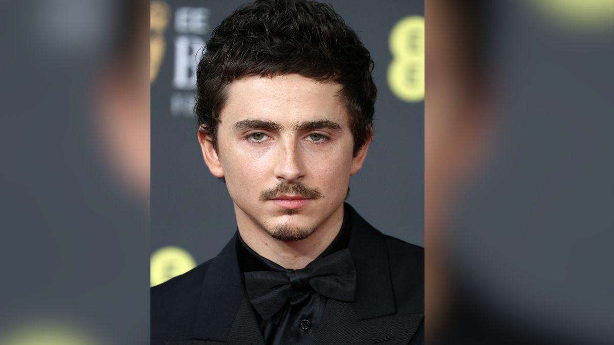 Image of Timothée Chalamet's mom Nicole Flender trained as a ballet dancer.