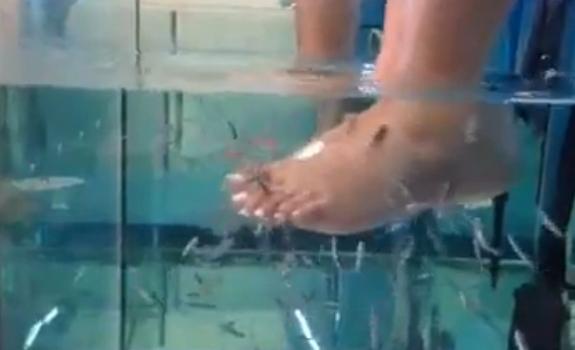 //kim_kardashian_fish_pedicure_video_stack_two