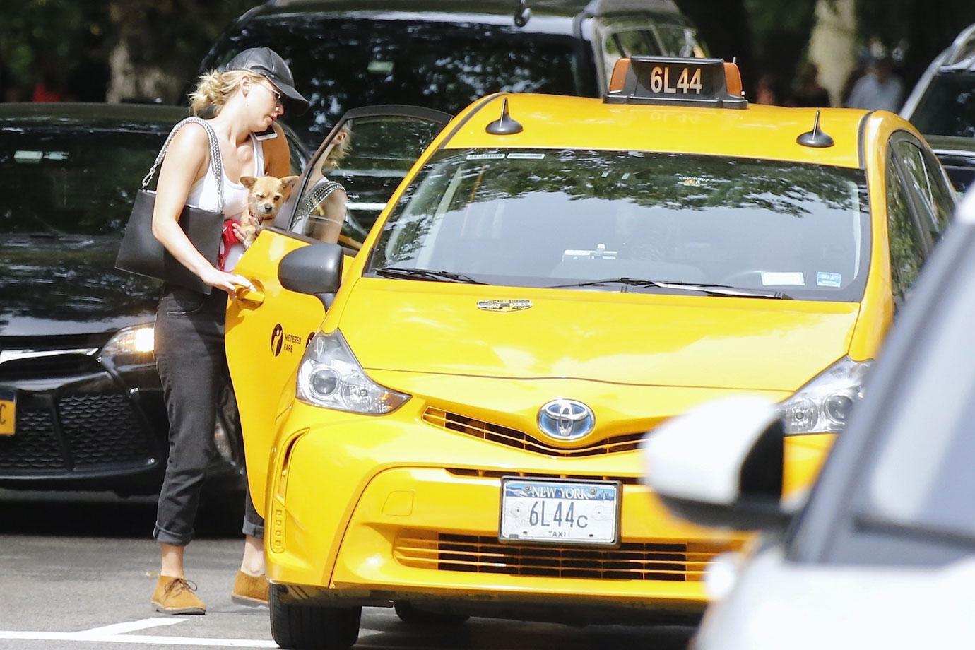 Jennifer lawrence dog walking