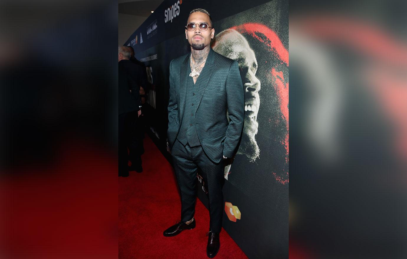 Premiere Of Riveting Entertainment&#8217;s &#8220;Chris Brown: Welcome To My Life&#8221; At L.A. LIVE