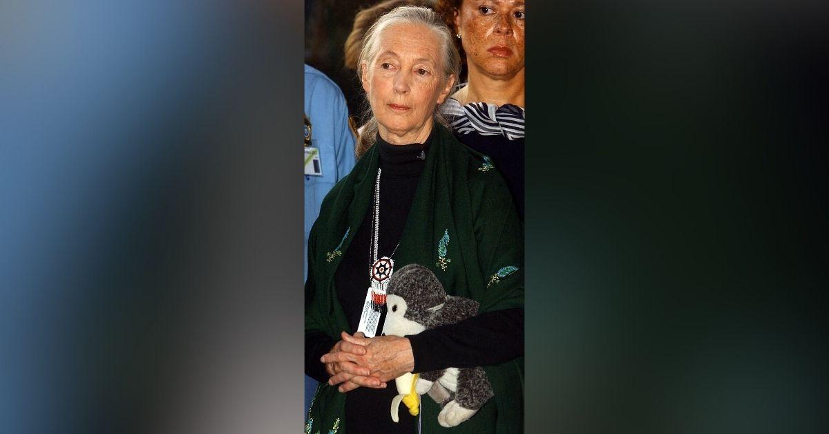 jane goodall life in photos animal welfare activist dead at