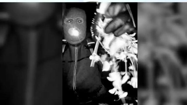 Nancy Guthrie Case: What To Know About Suspects & Evidence