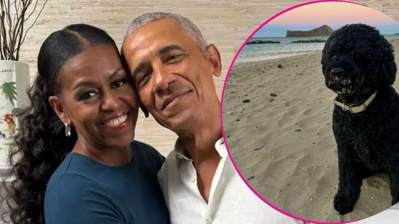 image of Barack and Michelle Obama dog 