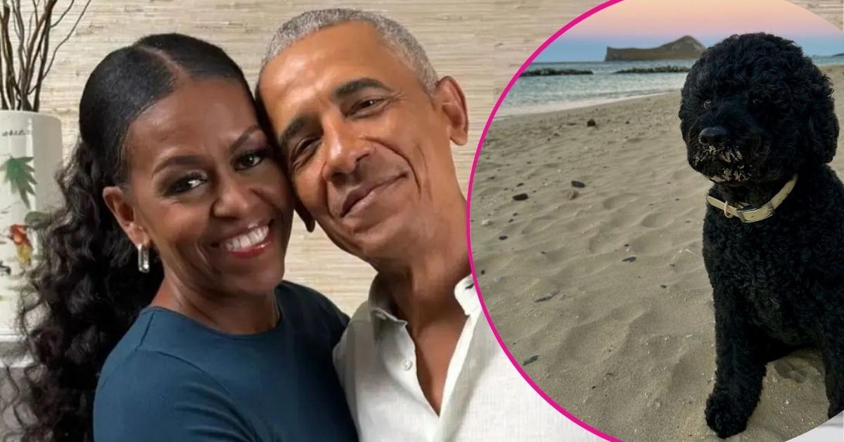 Barack and Michelle Obama Mourn the Loss of 'Fiercely Protective' and 'Cherished' Family Dog Sunny: 'We Will Miss Her Terribly'