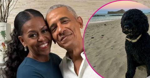 image of Barack and Michelle Obama dog