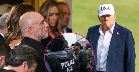 Composite Photos of Joe Rogan, Donald Trump and ICE Protests