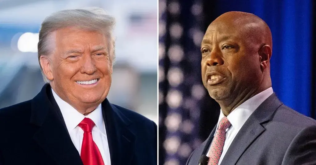 donald trump mocks potential  running mate tim scott for his failed presidential bid