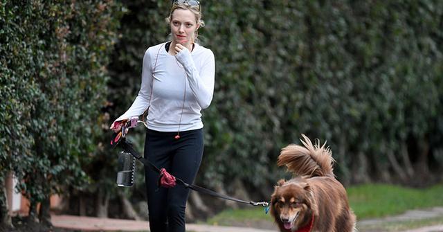 Amanda seyfried dog hike main