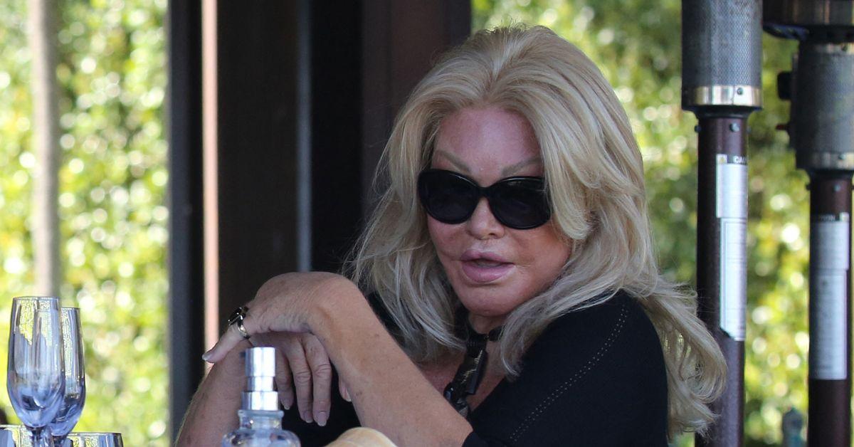 jocelyn wildenstein plastic surgery face transformation