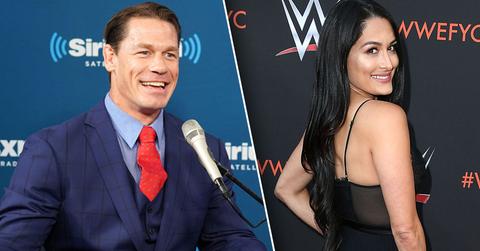 Nikki bella post pic