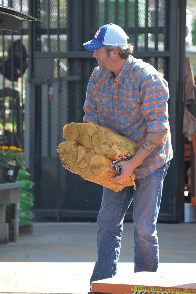 *EXCLUSIVE* Gwen Stefani and Blake Shelton take a trip to Home Depot