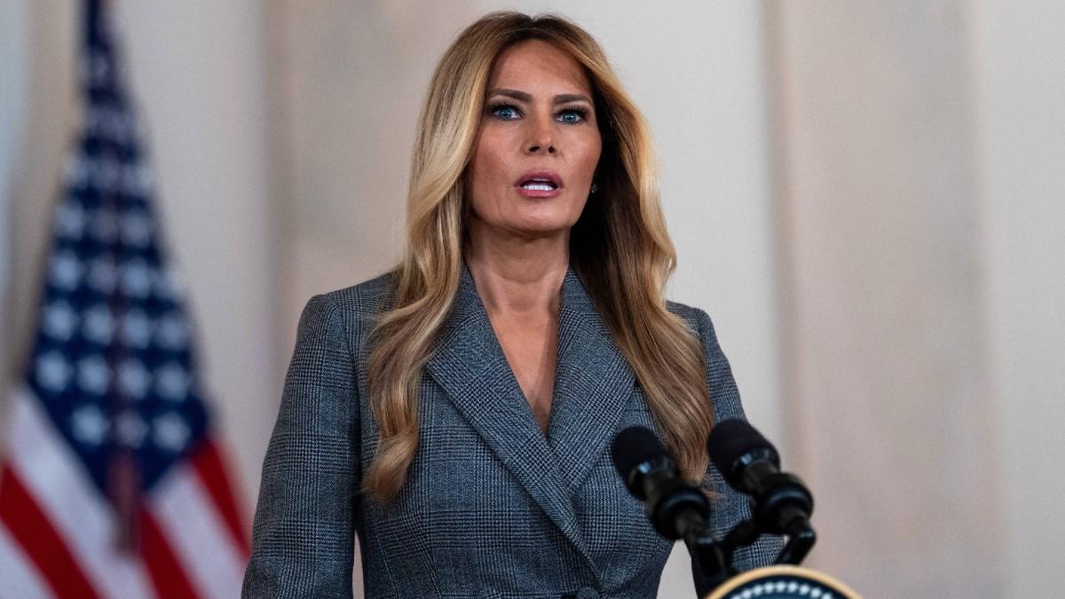 image of Melania Trump specifically denied ever flying on Jeffrey's plane or visiting his island.