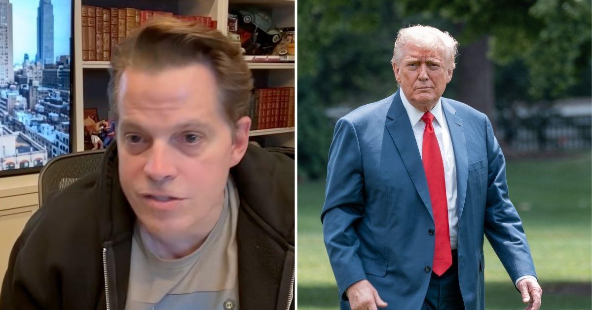 Composite photo of Anthony Scaramucci and Donald Trump