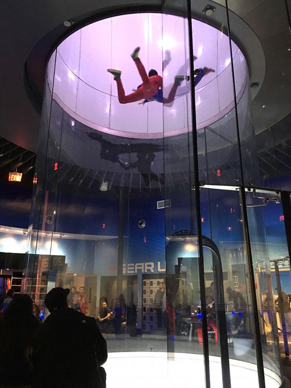 Teresa Giudice Prison Release Indoor Skydiving