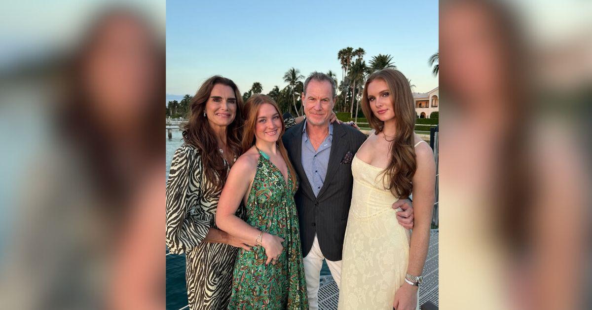 brooke shields rekindle husband