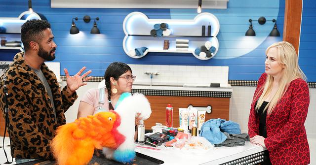 pooch perfect rebel wilson slammed animal cruelty social media