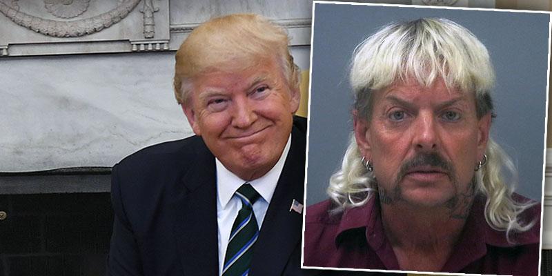 'Tiger King' Star Joe Exotic Is Confident President Trump Will Pardon Him