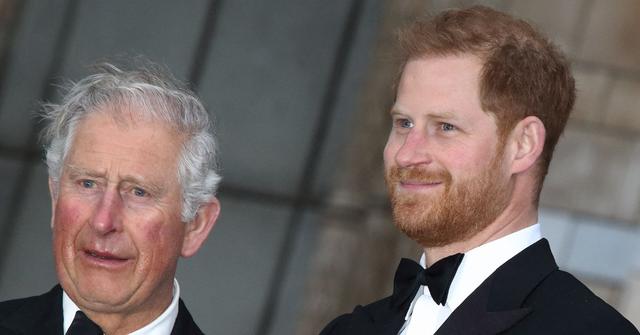 king charles refused read prince harry spare