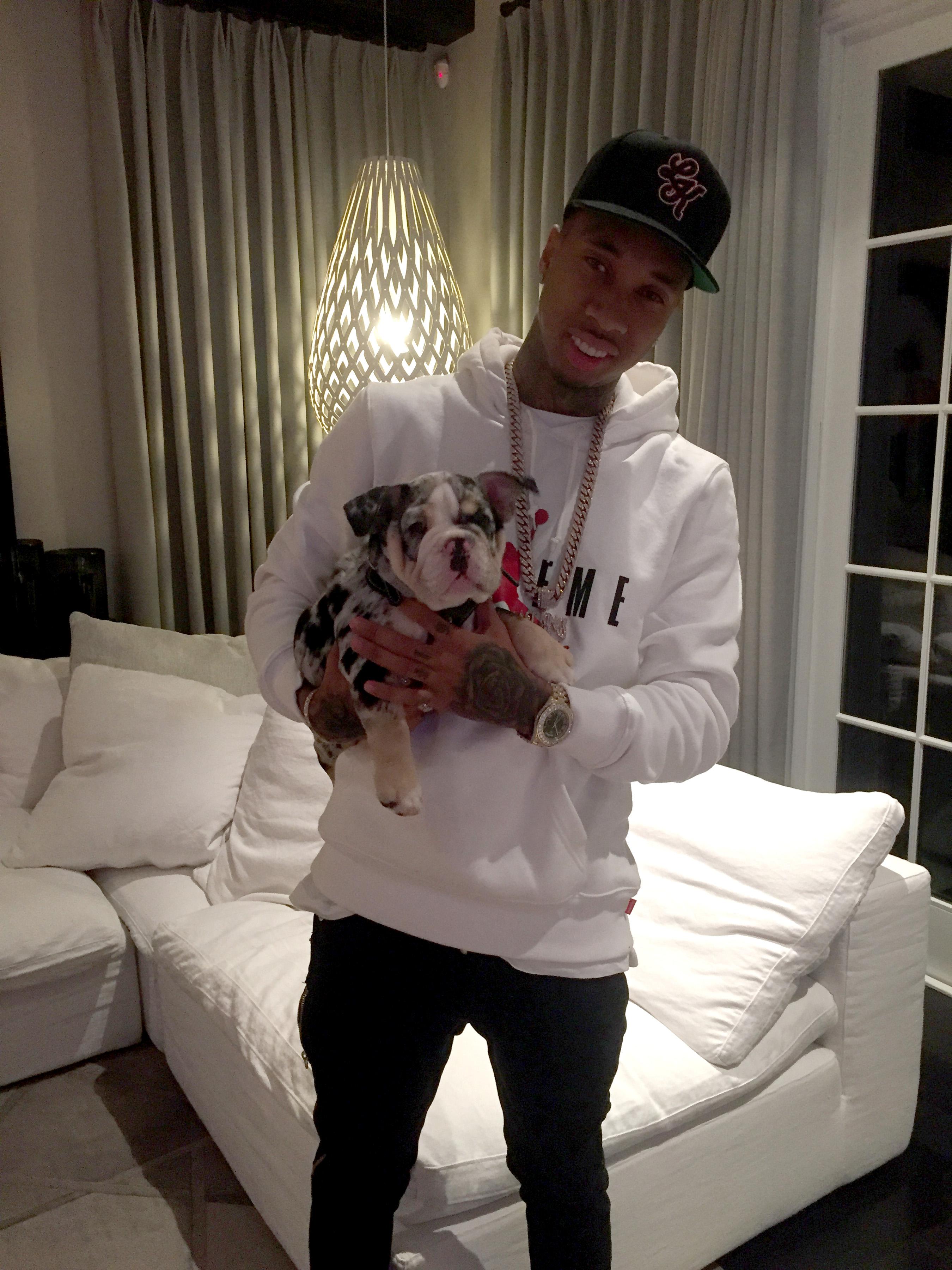 Kylie Jenner&#8217;s boyfriend Tyga poses with their new $40,000 English bulldog