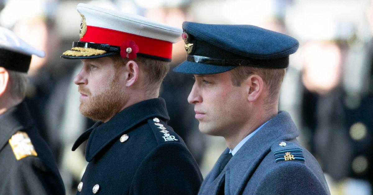 prince william and prince harry