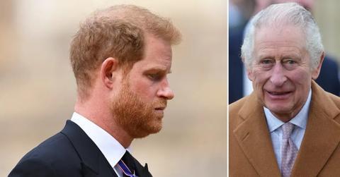 princeharry charles pp