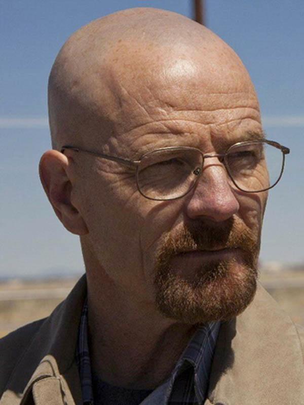 Bryan cranston breaking bad