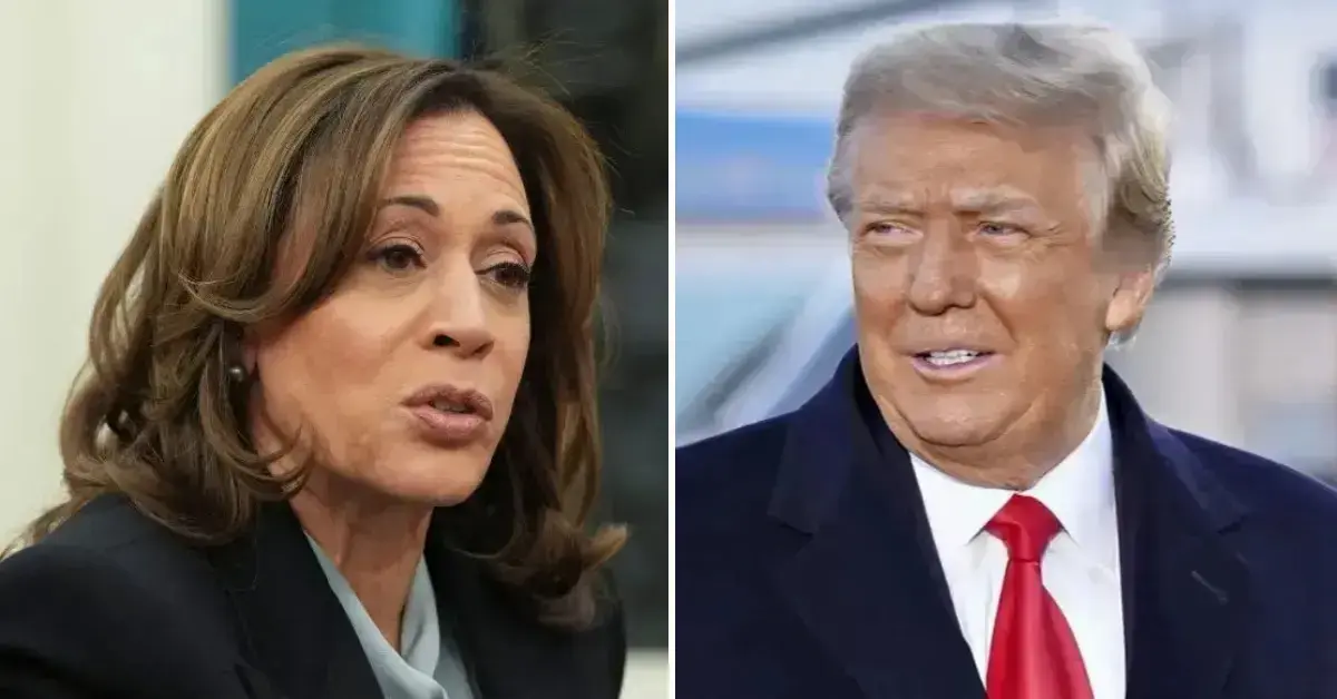Image of Donald Trump referred to Kamala Harris as 'half' a person.