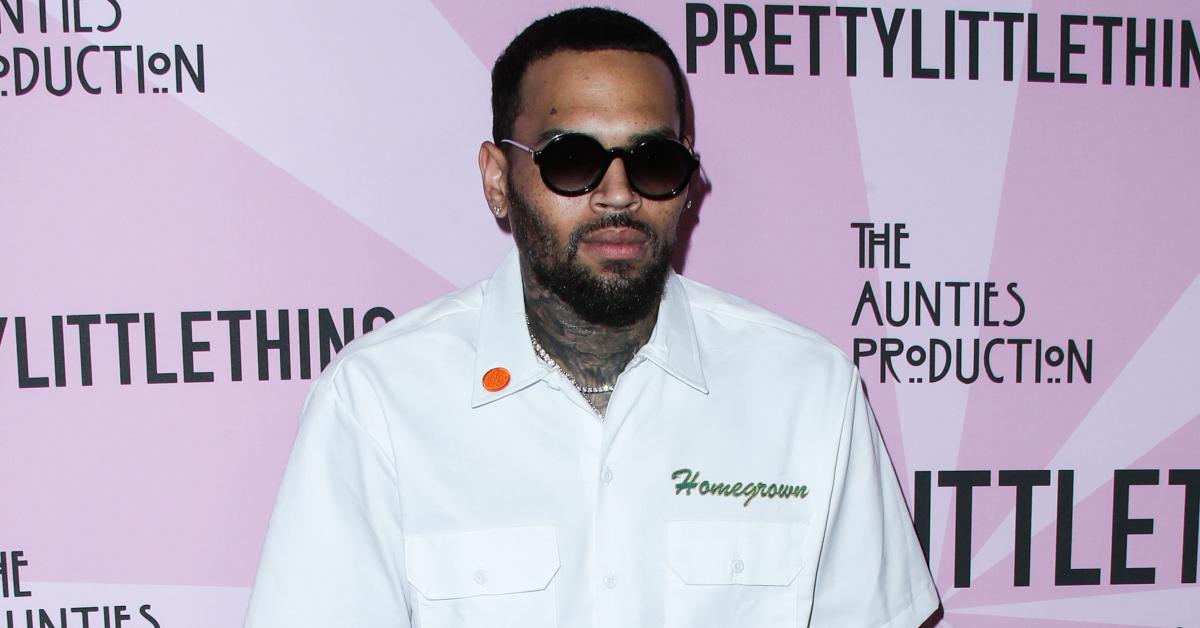 chris brown former housekeeper wants  million dog attack