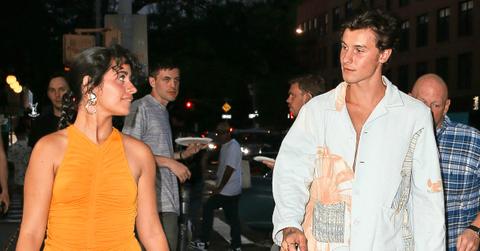 Photo of Shawn Mendes and Camila Cabello.