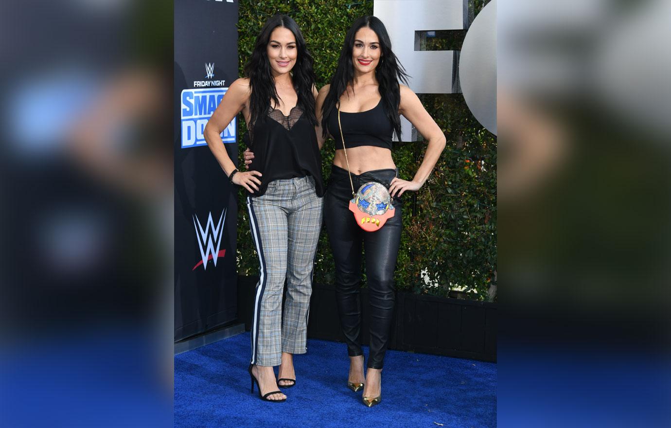 Nikki and Brie Bella's Book 'Incomparable' Talks Abuse and Hard Past