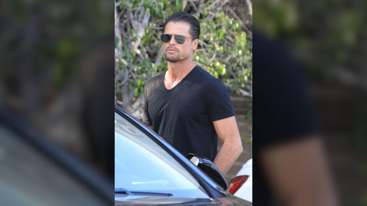 Photo of David Charvet is accused of being involved in a hit-and-run that killed a dog. 