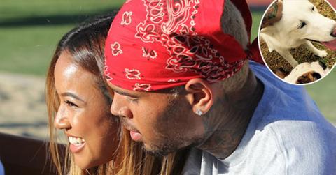 Chris Brown cuddles up to on/off girlfriend Karrueche Tran as th