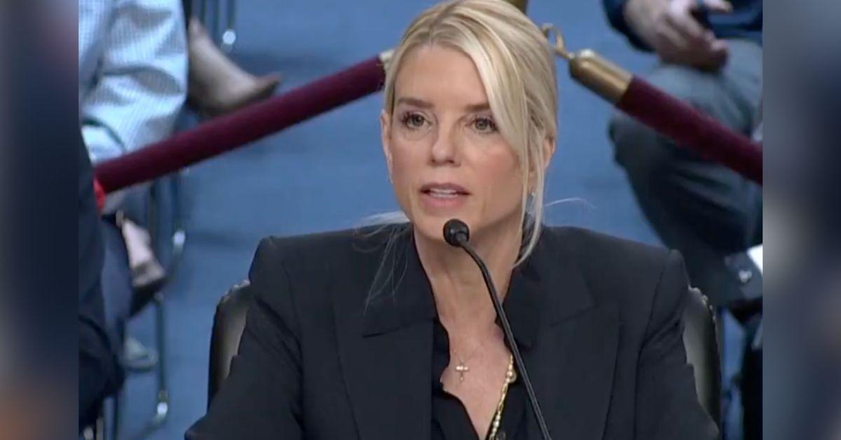 image. ofPam Bondi is loyal to Donald Trump. 