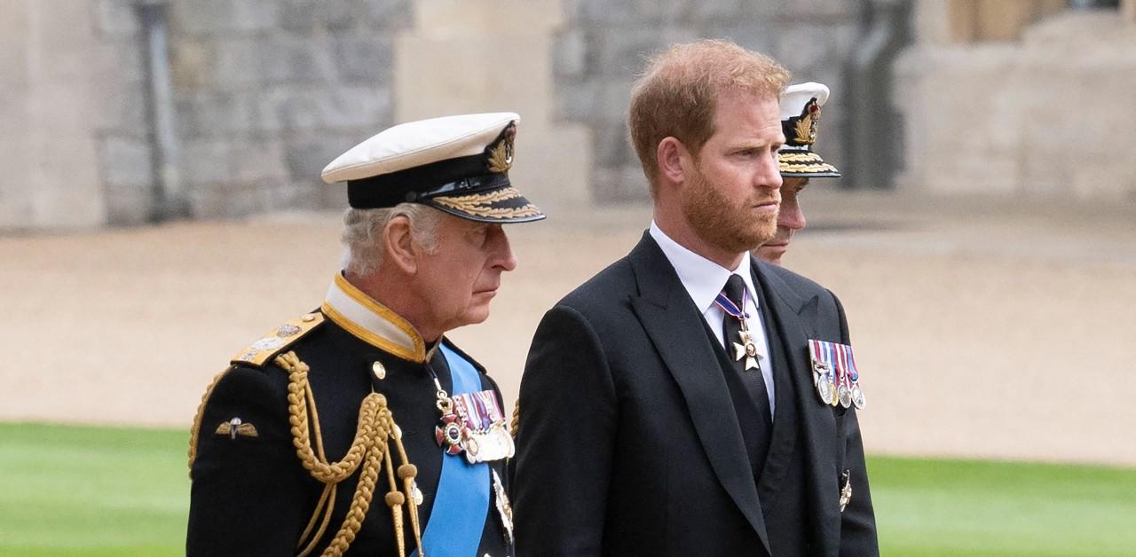 king charles prince harry kids titles netflix doc shades monarchy