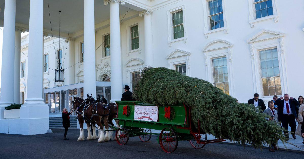 image of The tree is adorned with state-and-territory ornaments from Melania Trump’s new holiday collection.