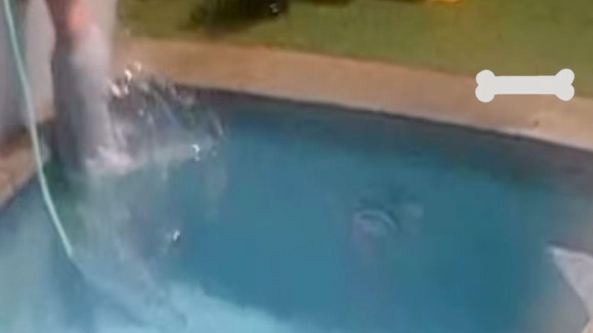 image of The actress shared shocking footage of the moment she lost her footing and crashed into her pool.