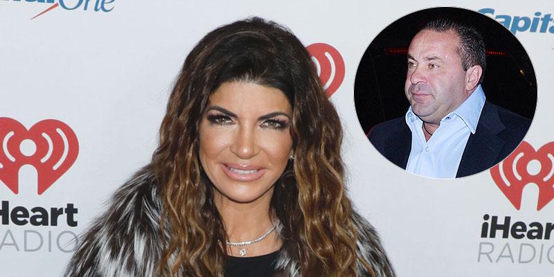 Teresa Giudice On Red Carpet Joe Giudice Inset