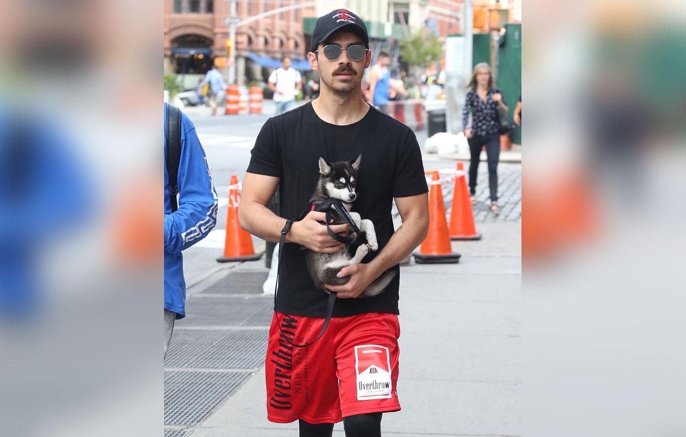 Joe Jonas Sophie Turner cute new puppy