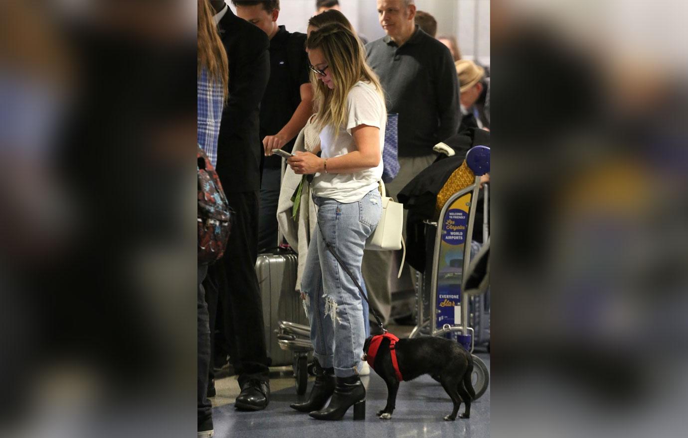 Hilary Duff boards her flight with an adorable puppy at LAX