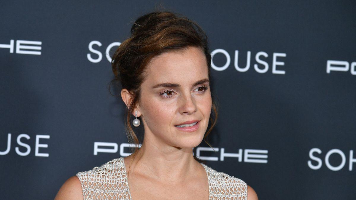emma watson rumored boyfriend who is gonzalo hevia bailleres