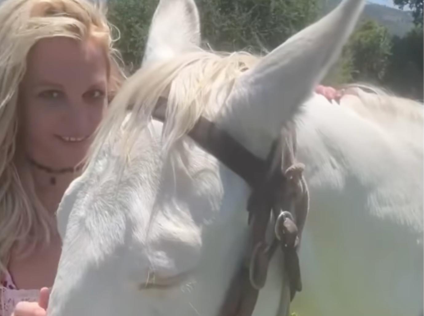 britney spears horses instagram parents conservatorship cruel sad