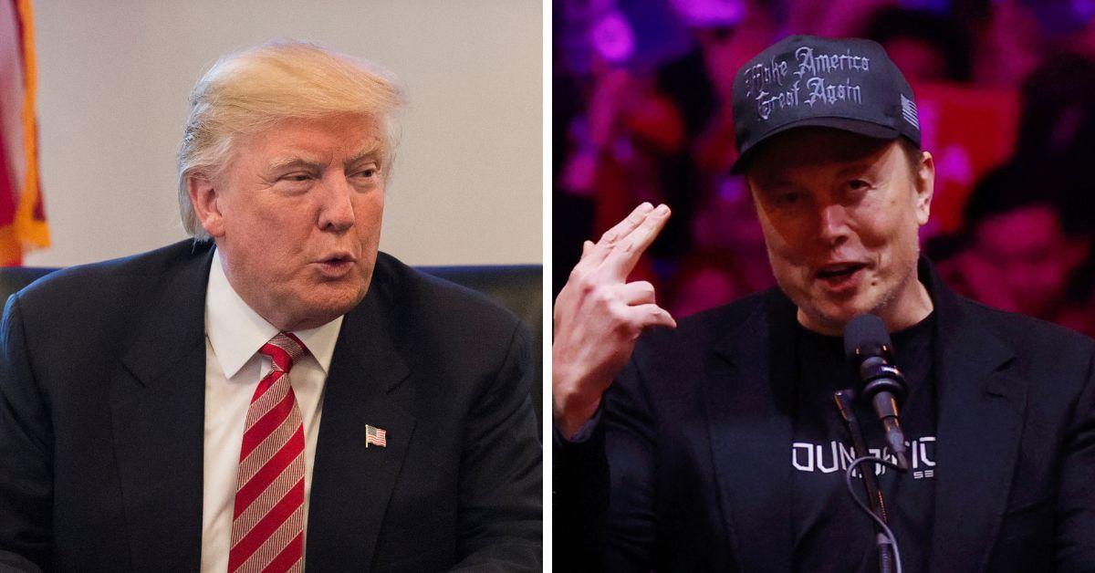 elon musks doge role in donald trumps administration what to know