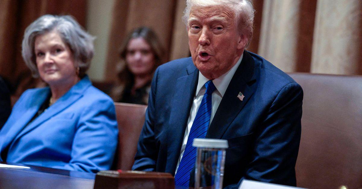 image of Susie Wiles made comments comparing Donald Trump to an alcoholic.