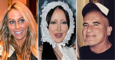 Composite photo of Tish Cyrus, Noah Cyrus and Dominic Purcell.