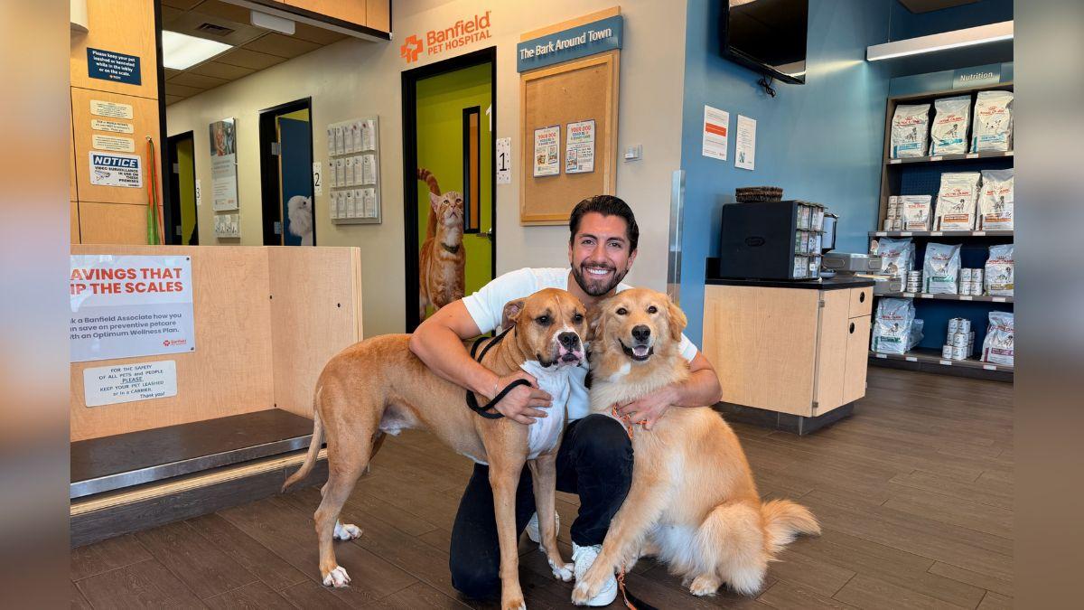 image of Jason Tartick said his dog Teddy saved him. 
