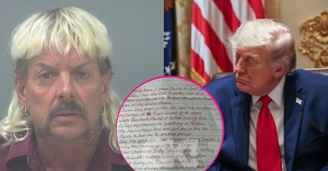 image of Joe exotic/Donald Trump