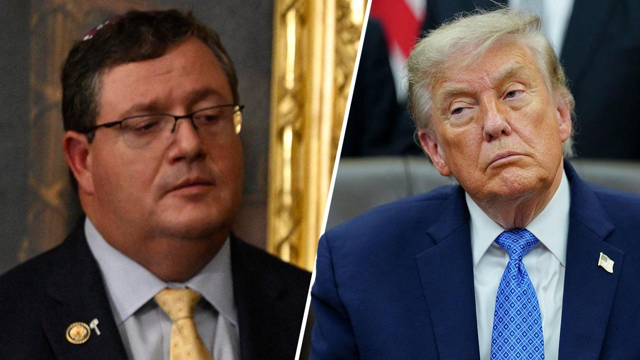 Randy Fine, Donald Trump